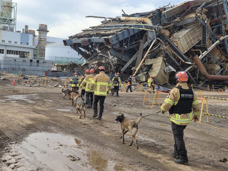 한국동서발전 울산화력발전소 보일러 타워 붕괴 사고 일주일째인 12일, 사고 현장에 매몰된 실종자를 찾기 위해 인명 구조견이 투입되고 있다. 울산소방본부 제공