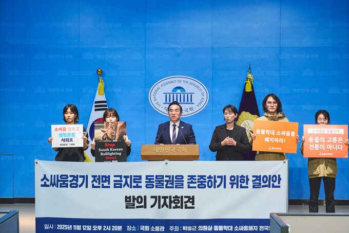 지난 12일박홍근 더불어민주당 의원(가운데)과 ‘동물학대 소싸움폐지 전국행동’ 활동가들이 서울 여의도 국회에서 기자회견을 열어 ‘소싸움경기 전면 금지’ 결의안 발의를 알리고 있다. 동물해방물결 제공