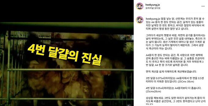 방송인 이경실씨가 자신의 브랜드에서 내놓은 달걀이 ‘고가 논란’에 휩싸인 뒤 내놓은 해명이 열악한 산란계 사육 환경은 고려하지 않았다는 지적이 나왔다. 소셜미디어 갈무리