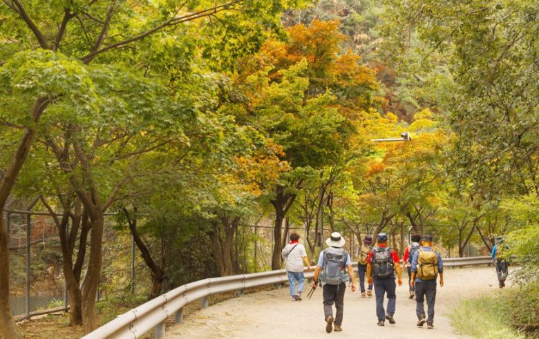 ‘서울대 안양수목원’ 풍경. 안양시 제공