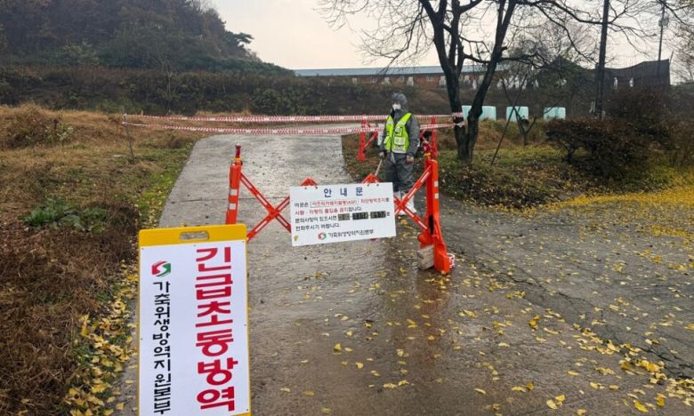 아프리카돼지열병 현장 사진. 충남도 제공