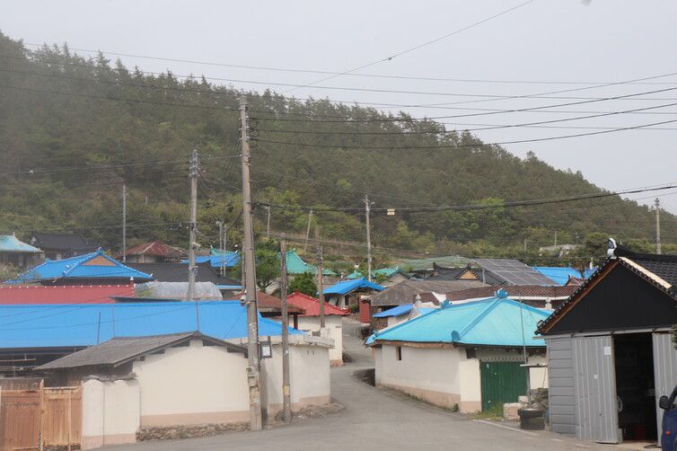 한국전쟁기 진도 군경에 의한 민간인 희생 사건이 벌어졌던 전남 진도군 의신면 만길리 마을 모습. 60여 가구가 살고 있다. 고경태 기자