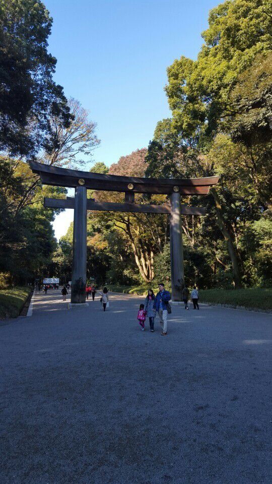일본 도쿄 메이지신궁 내부의 기둥(도리이)과 수림의 모습. 연합뉴스
