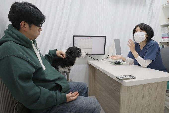 1일 오후 서울 종로구 ‘올리브 동물병원’ 박정윤 원장(오른족)이 ‘인도적 반려동물 진료 훈련’을 받은 보더콜리 ‘바벨’을 진료하고 있다. 최현수 기자 emd@hani.co.kr