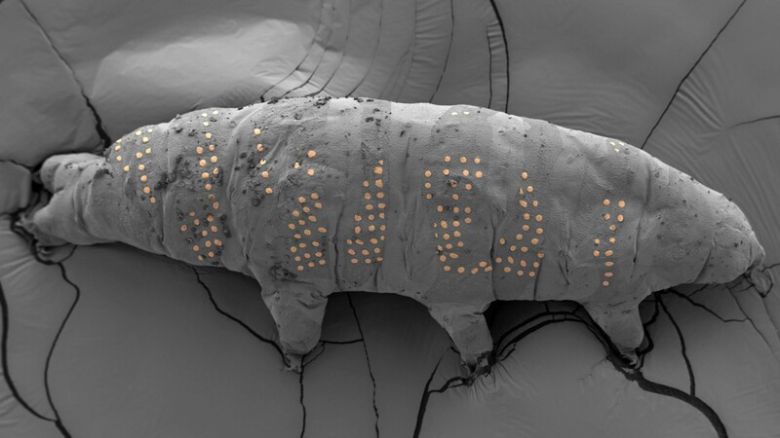 네이처가 뽑은 올해의 과학사진 ‘얼음 잉크’. Z. Yang et al. Nano Lett. 15 , 6168–6175(2025)