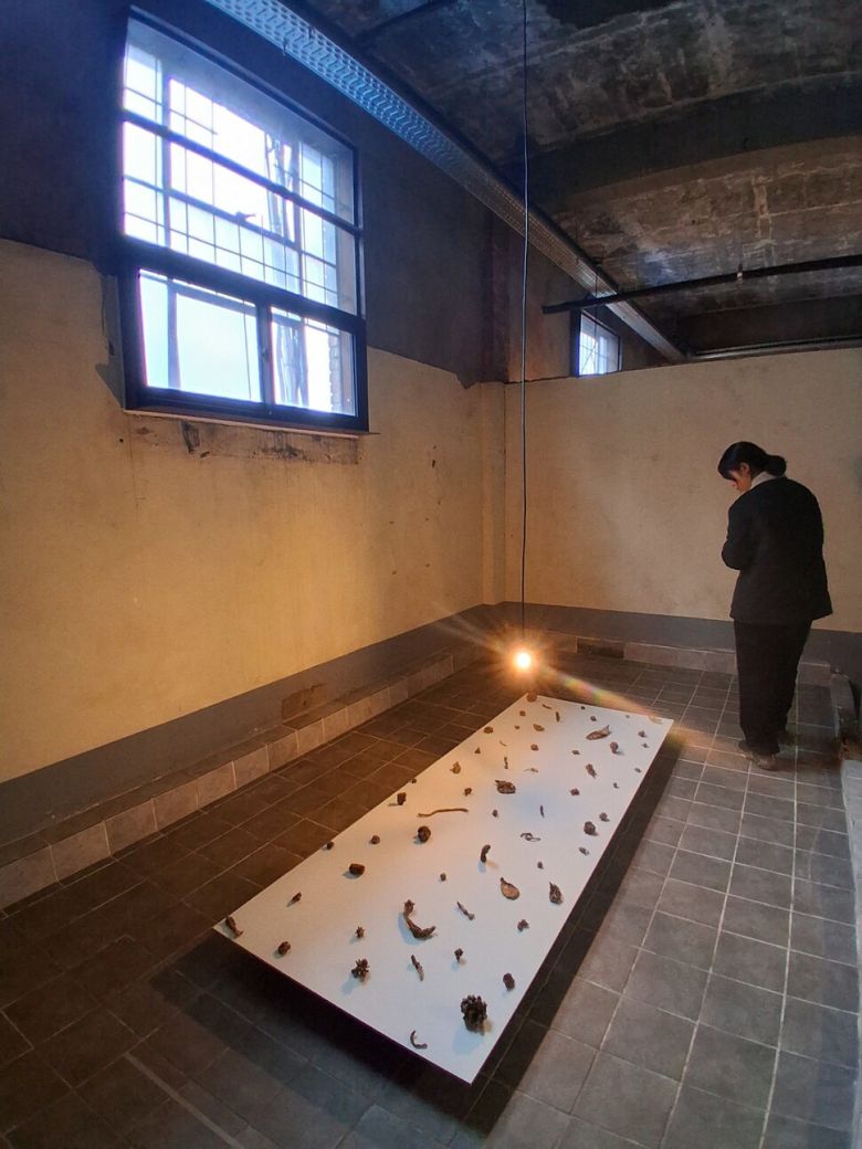 더 윌로 전시장 들머리에 설치된 중국 작가 장 루이의 설치작품 ‘살갗’(Skin). 죽은 선인장의 쪼그라든 몸체 조각들을 본뜬 구리 덩어리들을 늘어놓았다. 노형석 기자