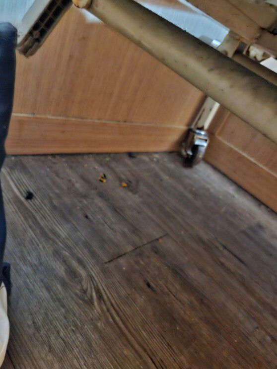 울산 반구대병원 병실 내 침대. 프레임이 녹슬어 있다. 제보자 제공