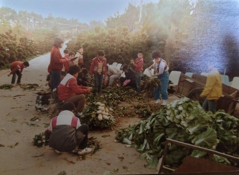 덕성원 시절 농작물 재배에 동원된 원생들. 진실화해위는 2024년 10월8일 덕성원 인권침해 사건 신청인 안종환씨와 미신청 피해자 45명에 대해 진실규명 결정을 내렸다. 덕성원 피해생존자협의회 제공