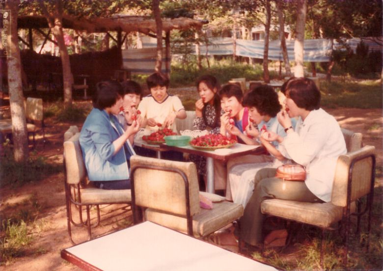 1970년대만 해도 서울 시흥이나 오류동, 과천 근처엔 과일 농장이 많았다. 원풍모방의 20대 여성 직원들은 주말이면 일정 금액을 내고 과일을 마음껏 따먹을 수 있는 과수원에 놀러 다니는 게 큰 낙이었다. 필자 제공