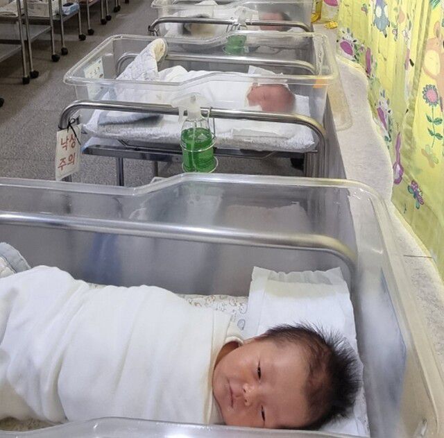 지난해 광양시의 출생아 수는 1159명으로 5년 만에 1000명대를 회복했다. 광양시 제공