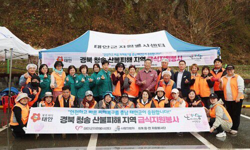 지난해 4월 큰 산불로 피해를 입은 경북 청송군 진보면에서 봉사 활동을 펼친 태안군자원봉사센터 자원봉사자들. 태안군 제공