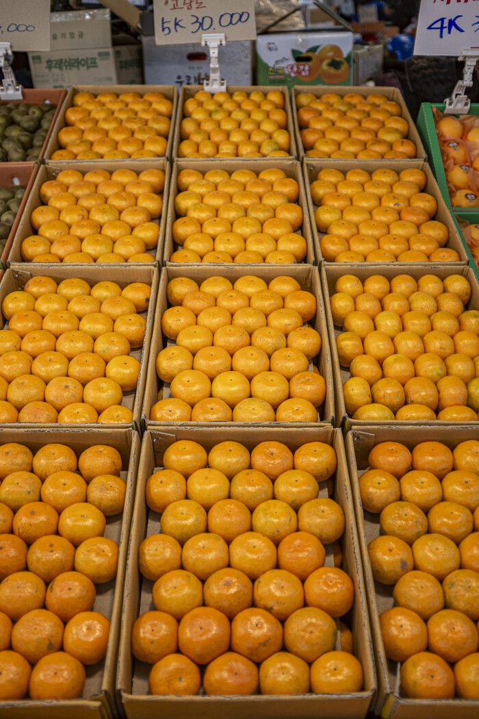 서귀포향토오일장에 있는 감귤 파는 코너. 최갑수 제공
