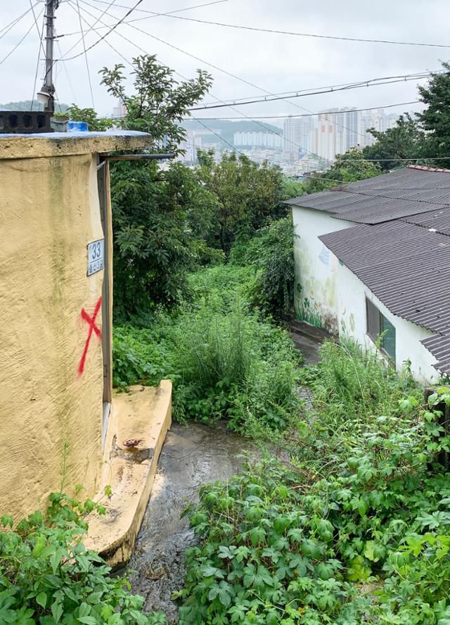 문현동 안동네 벽화마을. 김시덕 제공