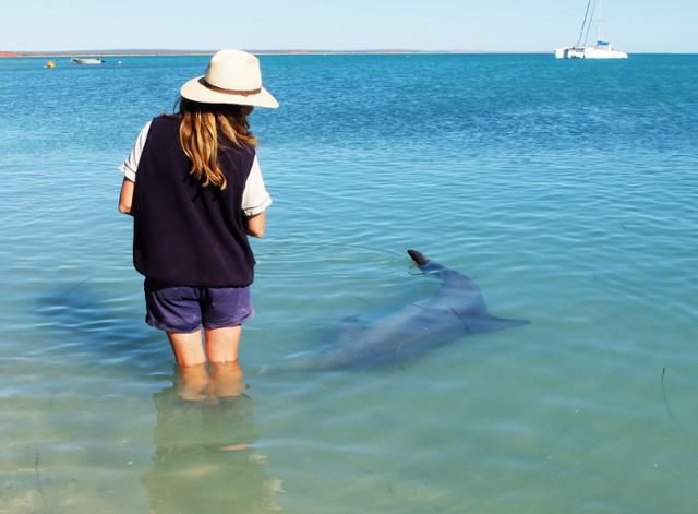 이래도 날 사랑해주지 않겠니? 지킴이 역시 돌고래의 몸짓처럼 좌우로 움직이며 애정을 확인한다. ⓒ강미승