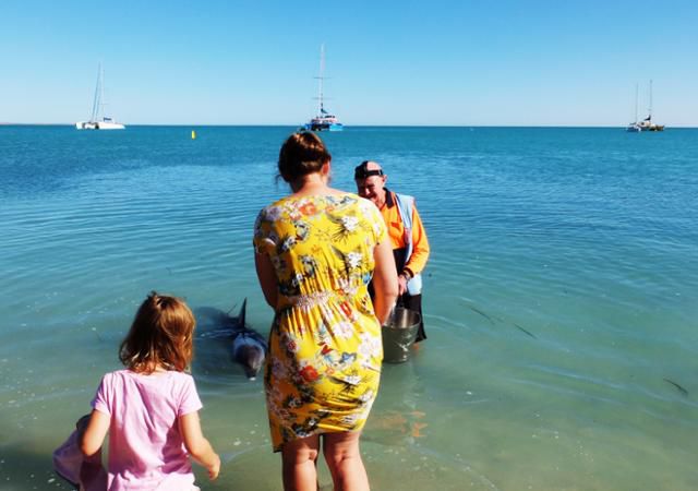 이곳에선 돌고래를 볼 확률이 90% 이상이라고 한다. 못 볼 확률이 거의 없다는 얘기다. ⓒ강미승