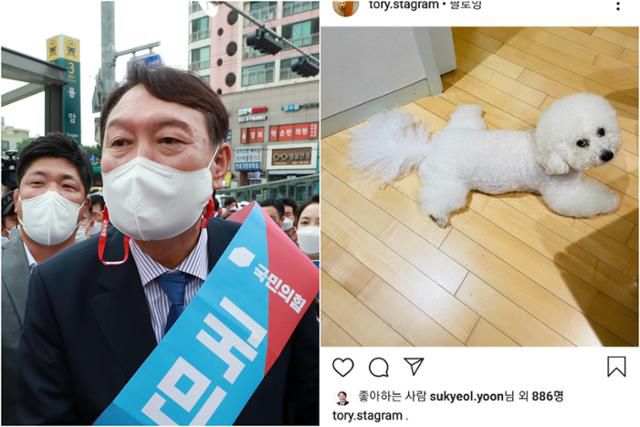 윤석열 전 검찰총장이 3일 서울 은평구 응암역 앞에서 시민들에게 국민의힘 당원 가입을 독려하고 있다.(왼쪽 사진) 윤 전 총장은 4일 다리를 벌리고 있는 반려견의 사진을 인스타그램에 올렸다. 국회사진기자단, 인스타그램 캡처