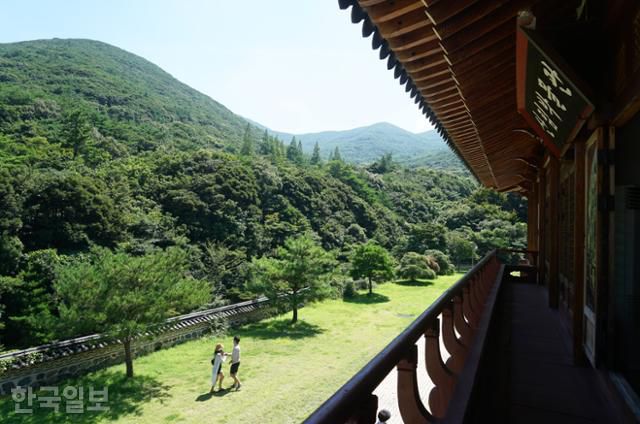 완도수목원 산림박물관은 건물 자체가 볼거리다.