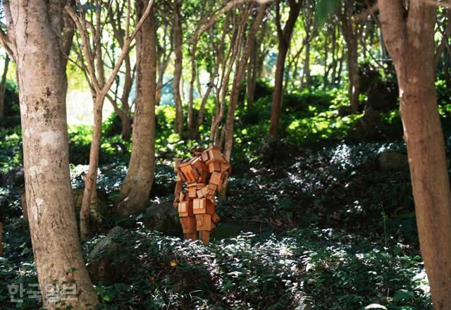 완도수목원 난대림 숲속에 목각 캐릭터 조형물이 세워져 있다.