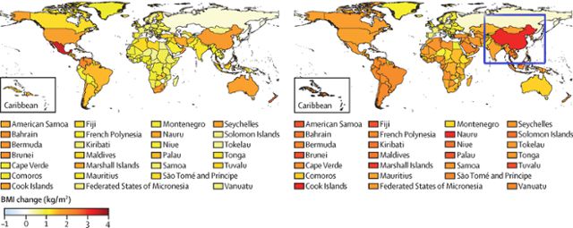 지난해 11월 의학학술지 '랜싯'에 실린 논문에 첨부된 세계지도 2건. 지난 35년간 각국 19세 여성(왼쪽)과 남성(오른쪽)의 체질량지수(BMI) 증가율을 나타냈다. 붉은색이 진할수록 체중이 더 급속히 늘었다는 의미다. 오른쪽 지도 파란색 네모를 보면 중국 남성의 BMI 증가율이 세계 최고 수준이다. 세계 1위 비만 대국 중국의 현실이 반영됐다. 중국 매체들은 이 내용은 쏙 빼고 키 증가율만 부각시켰다. 랜싯 캡처