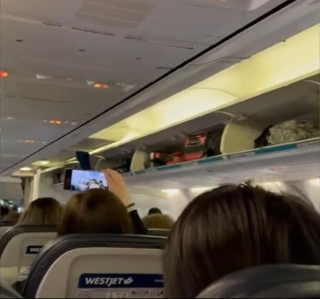 미국 시카고에서 로스앤젤레스로 향하는 한 항공기 안에서 기장이 방탄소년단(BTS) 곡들을 틀어주자, 한 팬이 동영상에 담고 있다. 사회관계망서비스(SNS) 캡처