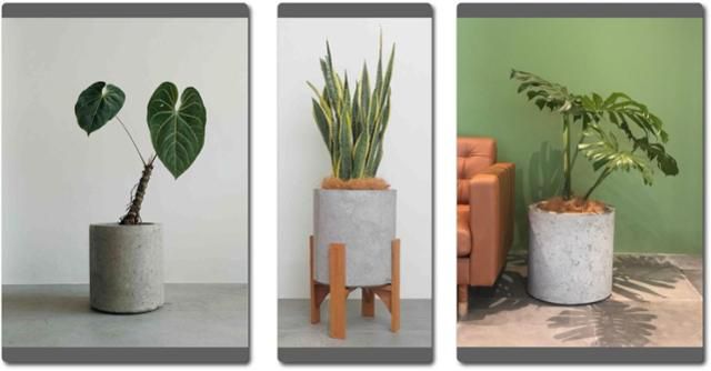 인도네시아의 재활용업체 파롱퐁이 담배꽁초로 만든 화분들. WDCD닷컴 캡처