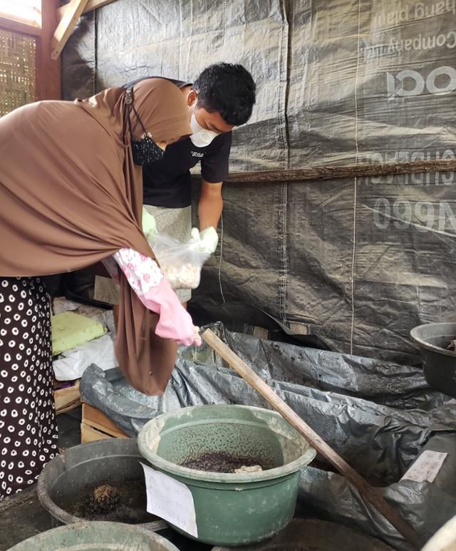 마리나 트리 물리아와티씨가 남편과 함께 구더기를 돌보고 있다. 마리나씨 제공