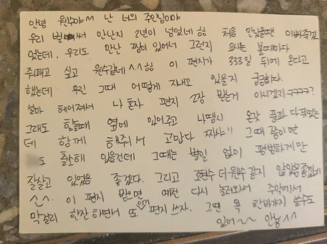 계곡 살인 피의자 이은해가 조현수에게 보낸 엽서글. 뉴스1