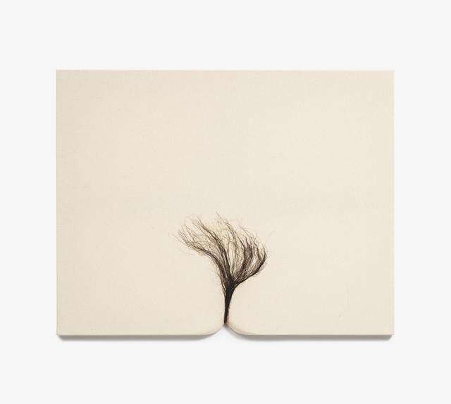 머리카락을 사용한 회화 연작인 '무제(2017년 작)'. 갤러리현대 제공