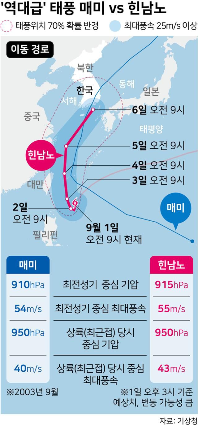 2003년 제14호 태풍 매미와 2022년 제11호 태풍 힌남노 비교. 그래픽=강준구 기자