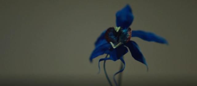 드라마 '작은 아씨들'에 나오는 푸른 난초. 제작진이 실크에 직접 색을 입혀 만들었다. tvN 방송 캡처