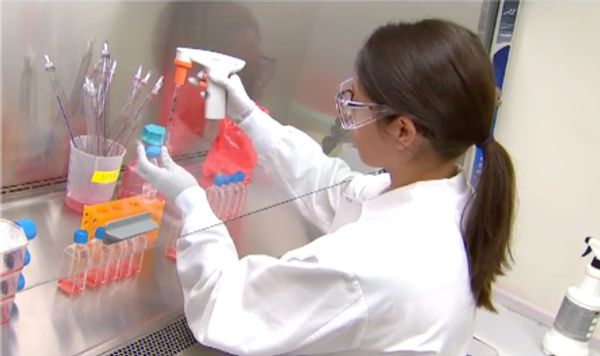 노바백스 연구원이 실험실에서 작업하고 있다.