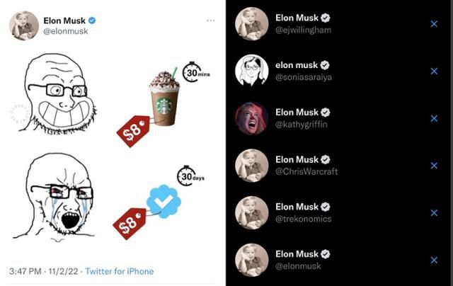 일론 머스크가 자신의 트위터 계정을 통해 스타벅스 커피 8달러어치는 좋아하면서 푸른 체크 8달러에는 화를 내느냐는 의미로 그림을 올린 모습(왼쪽 사진)과 일론 머스크를 흉내 낸 푸른 체크 계정들(오른쪽 사진). 트위터 캡처