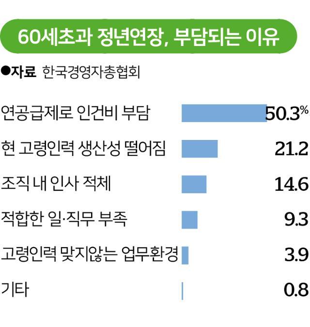 올해 1월 한국경영자총협회가 발표한 60세 초과 정년연장, 부담 되는 사유.