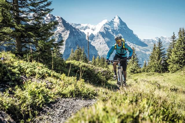 알프스 설산을 배경으로 즐기는 그린델발트 지역의 산악자전거 여행. 스위스관광청 제공