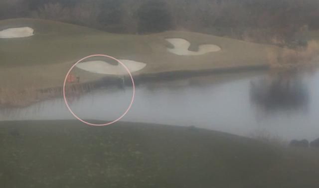 제주지역 골프장 워터헤저드에 잠수복 입고 들어가 바닥에 있는 골프공을 훔치는 모습. 제주 서귀포서 제공.