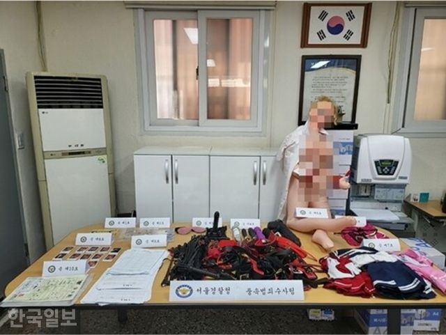 지난해 6월 적발된 강남구 '스와핑·집단성교' 유흥업소에서 압수된 코스튬과 성관계 도구 등이 놓여 있다. 서울경찰청 제공