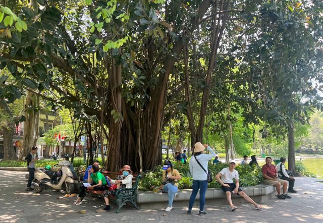 17일 베트남 하노이 중심부 호안끼엠 호수 인근의 나무 아래에서 관광객과 시민들이 휴식을 취하고 있다. 하노이=허경주 특파원