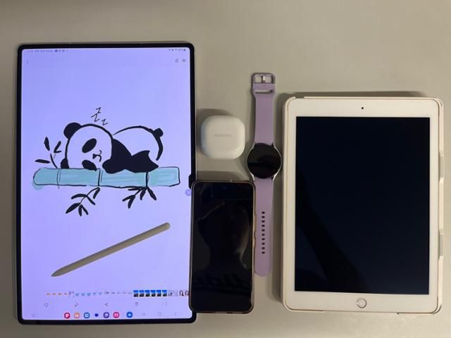 각종 스마트 기기의 크기를 비교해봤다. 왼쪽부터 갤럭시탭 S9 울트라, 갤럭시S22, 갤럭시버즈2프로, 갤럭시워치5, 아이패드 프로2세대. 김지현 기자