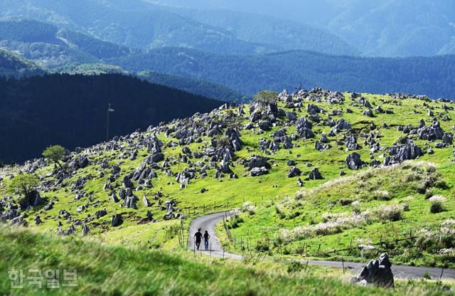 에히메현 시코쿠카르스트에서 여행객이 고원 산책을 즐기고 있다.