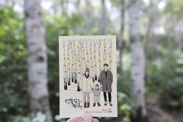 수도산 자작나무숲을 그린 김천시 홍보 엽서. ⓒ박준규