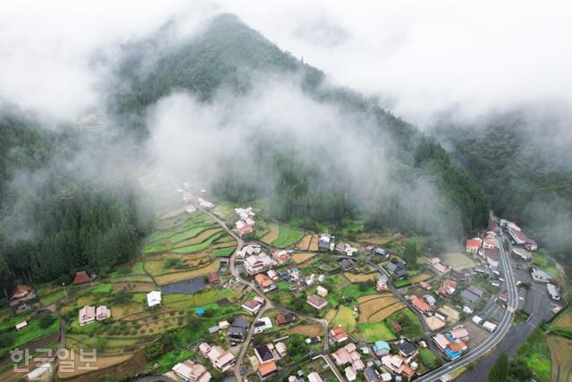 일본특별명승 히로시마 산단쿄(삼단협) 입구 마을 풍경. 삼나무숲으로 안개가 피어오르고 있다.
