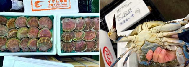 4일 베트남 하노이의 수산시장에서 상인들이 일본산 가리비(왼쪽 사진)와 게를 선보이고 있다. 하노이=허경주 특파원