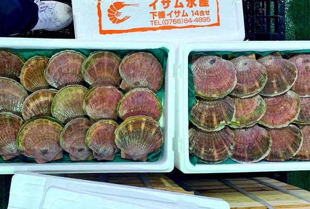 지난해 11월 4일 베트남 하노이의 수산시장에 일본산 가리비가 판매되고 있다. 하노이=허경주 특파원