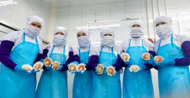 일본 해산물 도매업체 푸디슨의 베트남 가공 공장 직원들이 시범 가공한 일본산 가리비를 선보이고 있다. 아사히신문 캡처