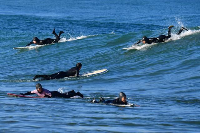1월 8일 경북 포항시 북구 흥해읍 용한리 해안에서 서퍼들이 파도를 타고 있다. 포항=뉴스1