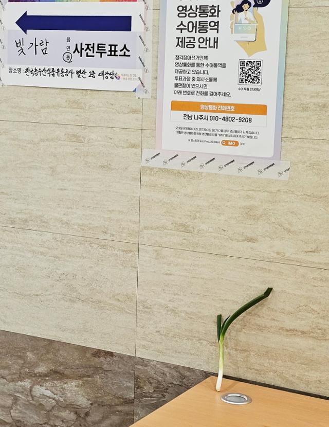 22대 총선 사전투표 첫날인 5일 오전 전남 나주 혁신도시 빛가람동 투표소에 대파가 놓여 있다. 나주=뉴스1