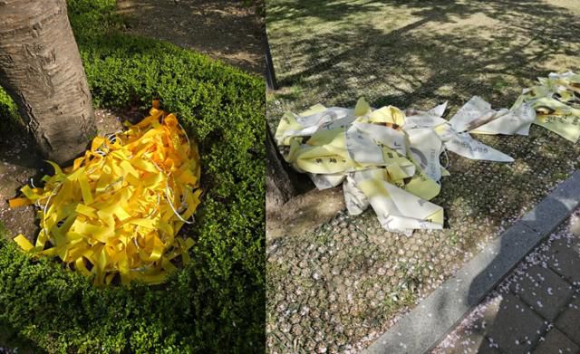 지난 13일 서울 은평구 은평평화공원에 내걸린 세월호 참사 10주기 추모 현수막과 노란 리본이 나무 옆에 뭉쳐 버려져 있다. 세월호를 기억하는 은평사람들의 모임, 온라인 커뮤니티 캡처