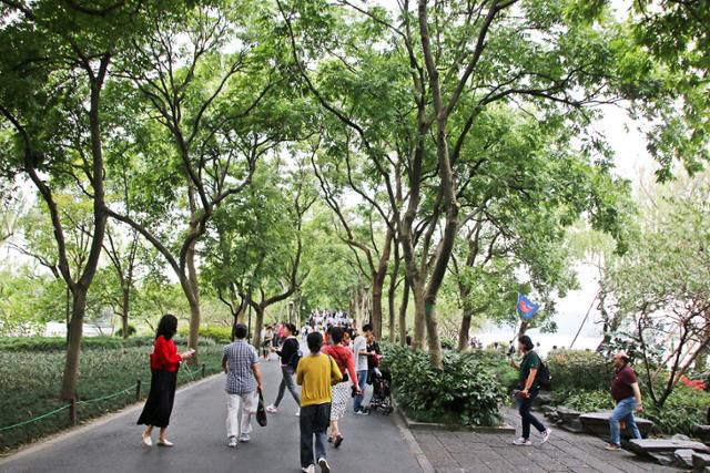 항저우 서호의 제방 소제. ⓒ최종명