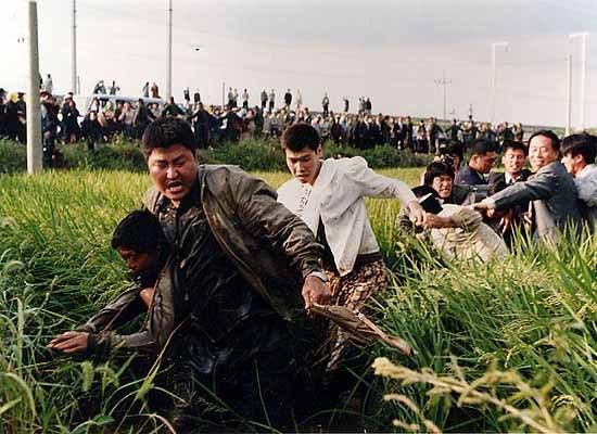 야쿠쇼 고지는 '살인의 추억' 속 박두만(송강호)은 현실에서라면 사귀고 싶지 않은 인물이라며 송강호의 연기의 강점은 사실감이라고 치켜세웠다.