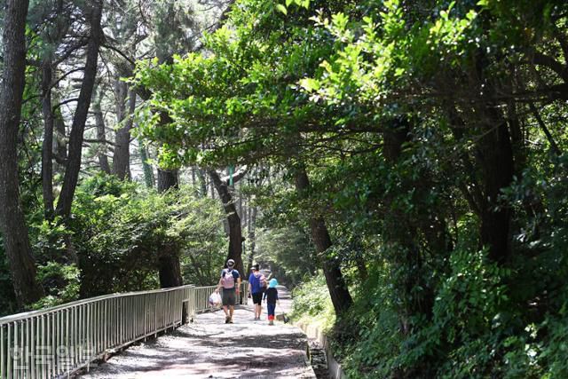 가족 여행객이 다대포해수욕장 옆 몰운대 숲길을 산책하고 있다.